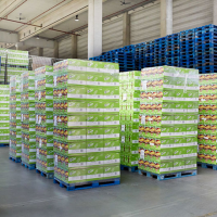 Gestione Vuoti ed imballi