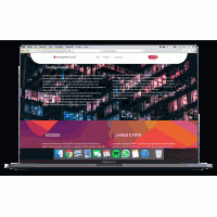 Import Elettronico